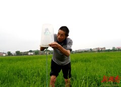 田间诱捕器 守护生态粮