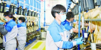 发展羊奶产业引领脱贫