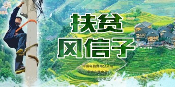 扶贫风信子