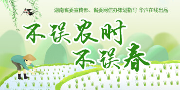 【专题】不误农时不误春