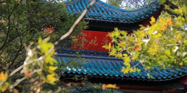 留在长沙过年！10条不同style的路线安排上