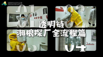 E人勇闯湘粮生产线：一枚速冻水饺的“闯关”之旅