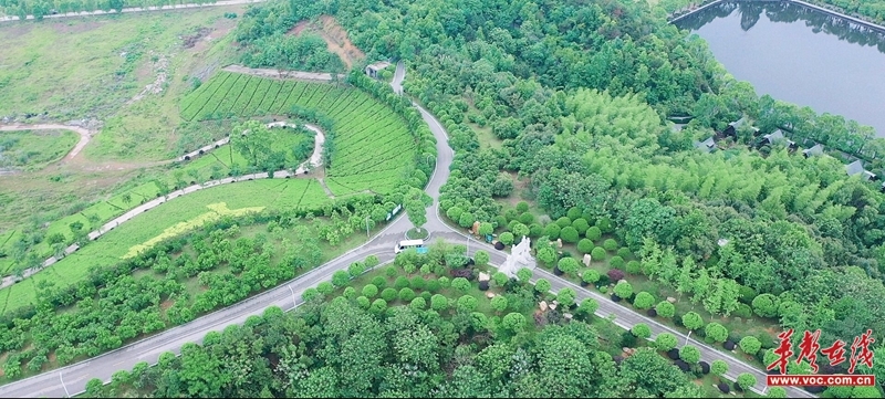 湘潭│岳塘区：“四好农村路”美了乡村 富了百姓