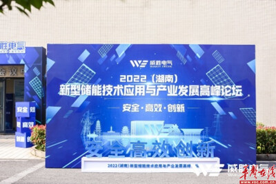 2022(湖南)新型储能技术应用与产业发展高峰论坛圆满召开
