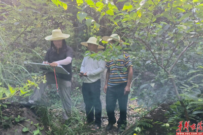 岳麓区｜含浦街道：近600亩青苗全部完成丈量
