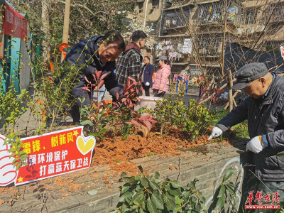 新湘路社区：植“廉洁树”造“清风林”共筑美丽“新湘”