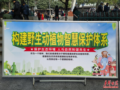 常宁积极开展“世界野生动植物日”宣传活动