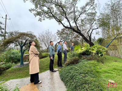 浏阳柏加：“带货”更是“带路” 按下电商经济发展“快进键”