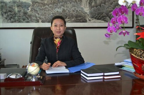 “最狠最美拆迁女市长”被双开