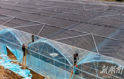 搭建育秧工厂 助力春耕生产