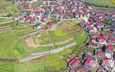 陌上春色 五彩缤纷
