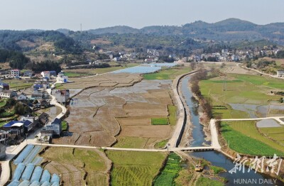 建设高标准农田 提高农业经济效益