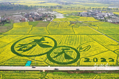 春日田园画卷新