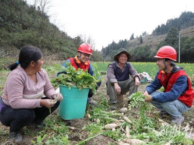 电力助春耕 服务到田间