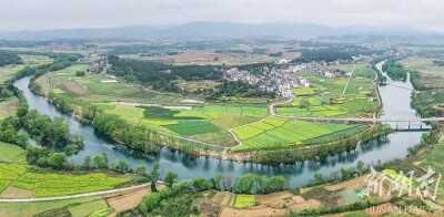 春到乡村 景美如画