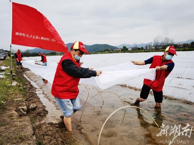 “红马甲”助春耕