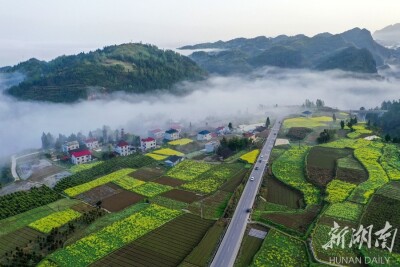 云涛连晓雾 翠色入画图