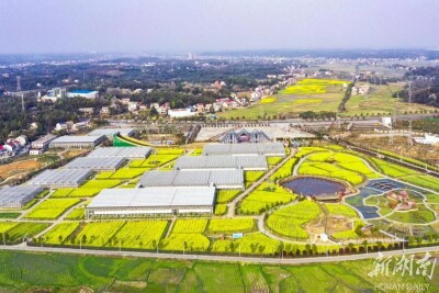 农发行益阳市分行倾情打造农地银行特色品牌