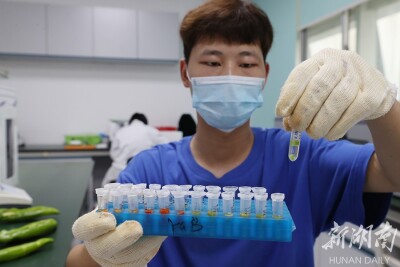 高质量农业助力乡村振兴