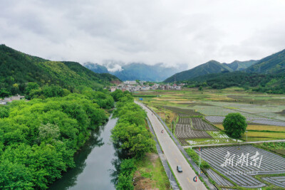 乡村春色美