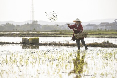 锦绣湖南⑫｜谷雨时节春耕忙