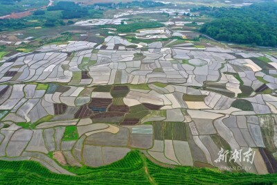 春耕田园 美景如画