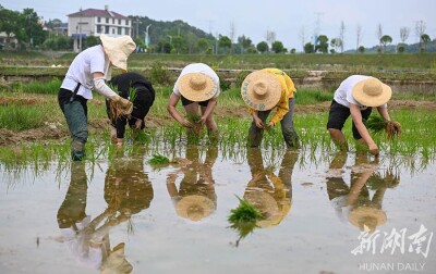 展示稻作科技 推进农旅融合