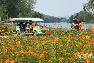 畅游景区 乐享假期