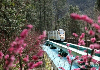 十里画廊享春光