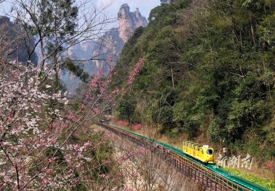 十里画廊 春花烂漫