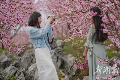 石漠化山区春光美
