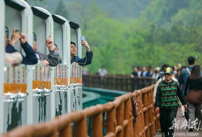 武陵源旅游人气旺