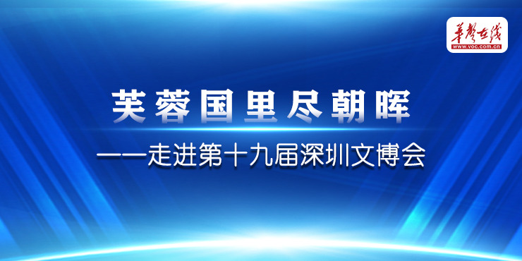 芙蓉国里尽朝晖——走进第十九届深圳文博会