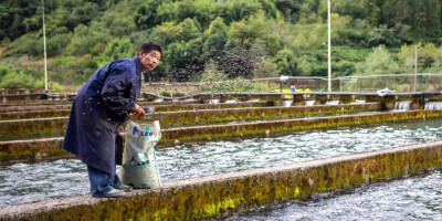 重庆城口：生态产业拓宽村民增收途径