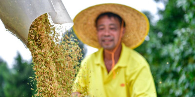 我国粮食产量连续9年稳定在1.3万亿斤以上