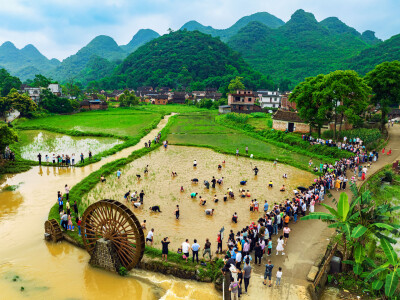 洗泥节摸鱼
