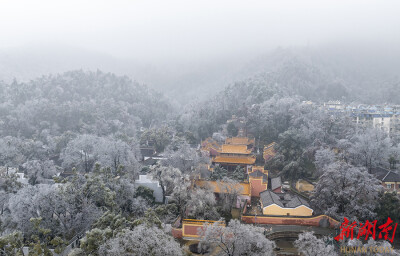冻雨“冰封” 岳麓山