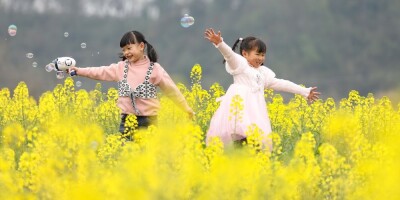 花开春光好