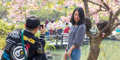 烂漫春光好 周末赏花游