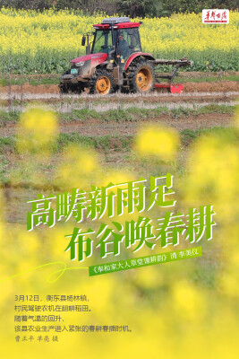 【海报】春分时节，种下一片希望