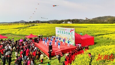 渌口区千亩油菜花海引客来