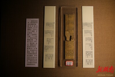 秦简博物馆度假日