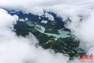 雨后湿地公园美如画