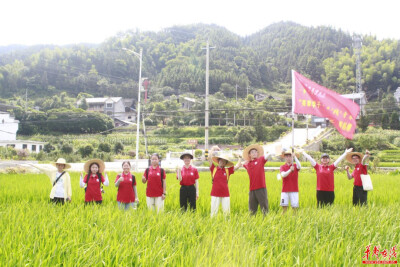 湖南农大“幸福田野”实践队助力溆浦县统溪河村产业与文化振兴