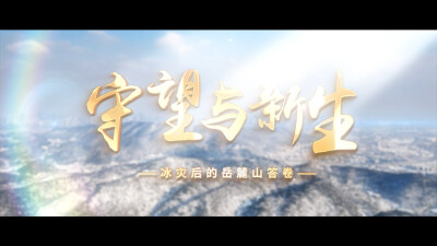 冰灾后的岳麓山答卷——《守望与新生》专题纪录片发布