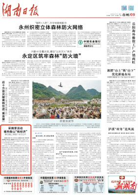 采摘季活动催热衡山“桃经济” 单日线上带货1.5万公斤｜湖南日报
