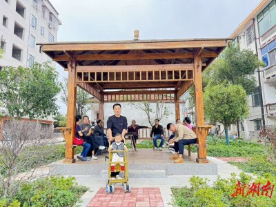 益阳市大通湖区开展党建引领乡村振兴“一村一年三件事”行动，将党建优势转化为治理效能|湖南日报