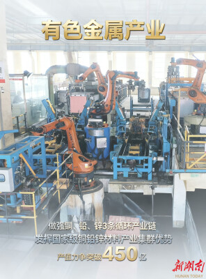 海报|常宁：“双翼”振翅，谱写县域经济发展新篇