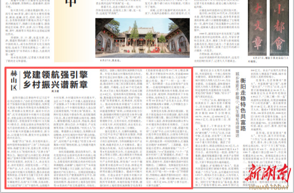赫山区：党建领航强引擎 乡村振兴谱新章|湖南日报