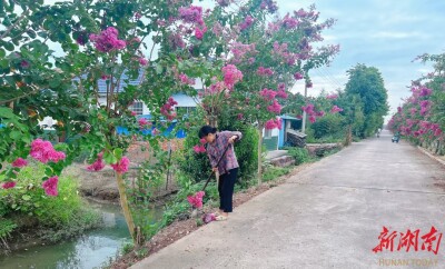 从“站着看”到“一起干”！探益阳市大通湖区党建引领乡村治理的活力密码|湖南日报